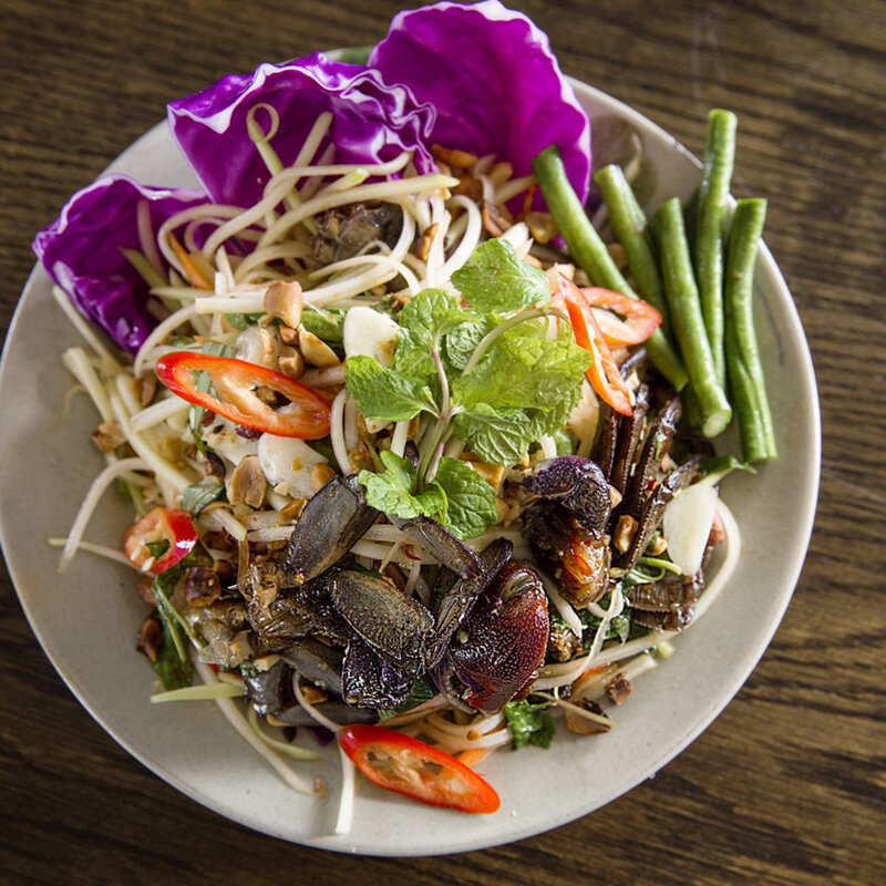 Embrace the vibrant spirit of Ca Mau Travel adventures